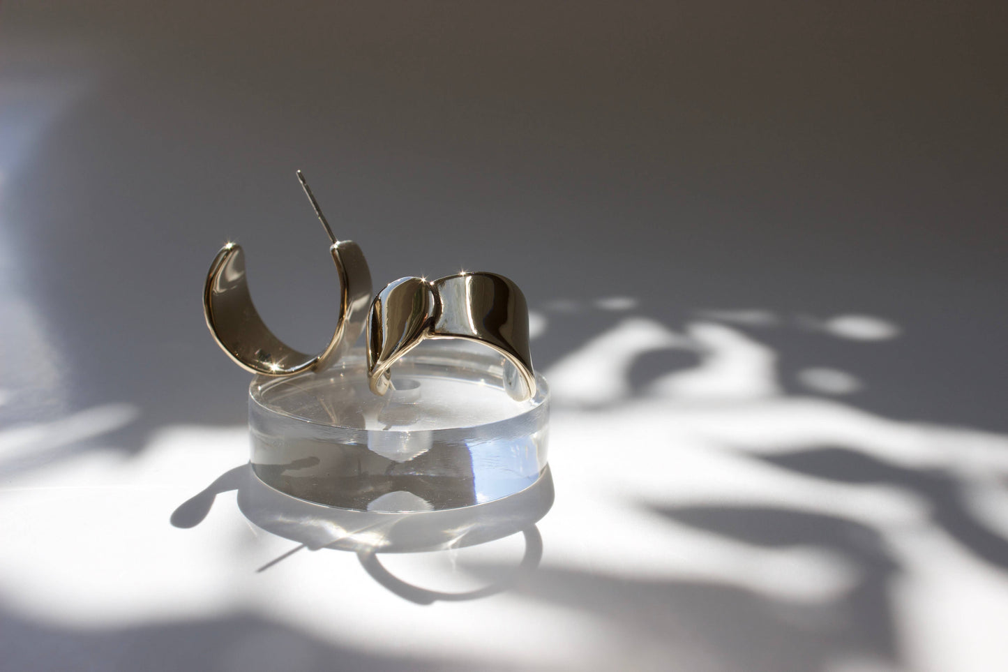 Euphorbia Hoops, Plant Jewelry, Unique, High Shine Finish 