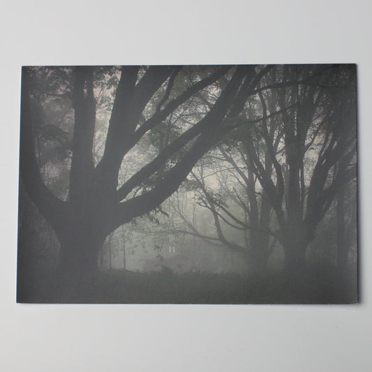 "Trees in Mist" Notecard
