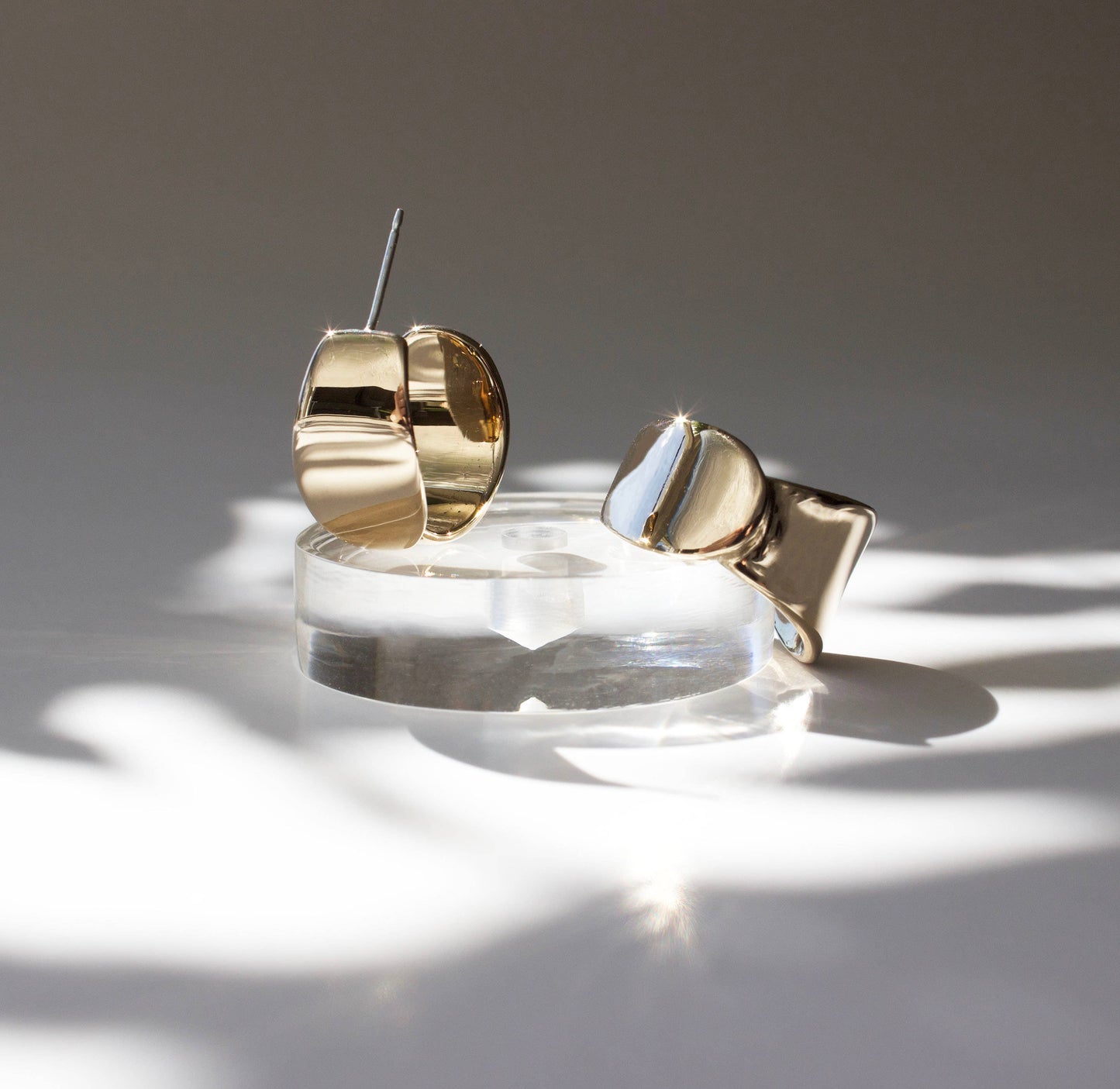 Euphorbia Hoops, Plant Jewelry, Unique, High Shine Finish 