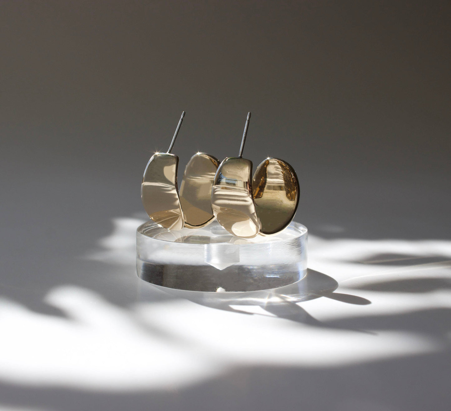 Euphorbia Hoops, Plant Jewelry, Unique, High Shine Finish 