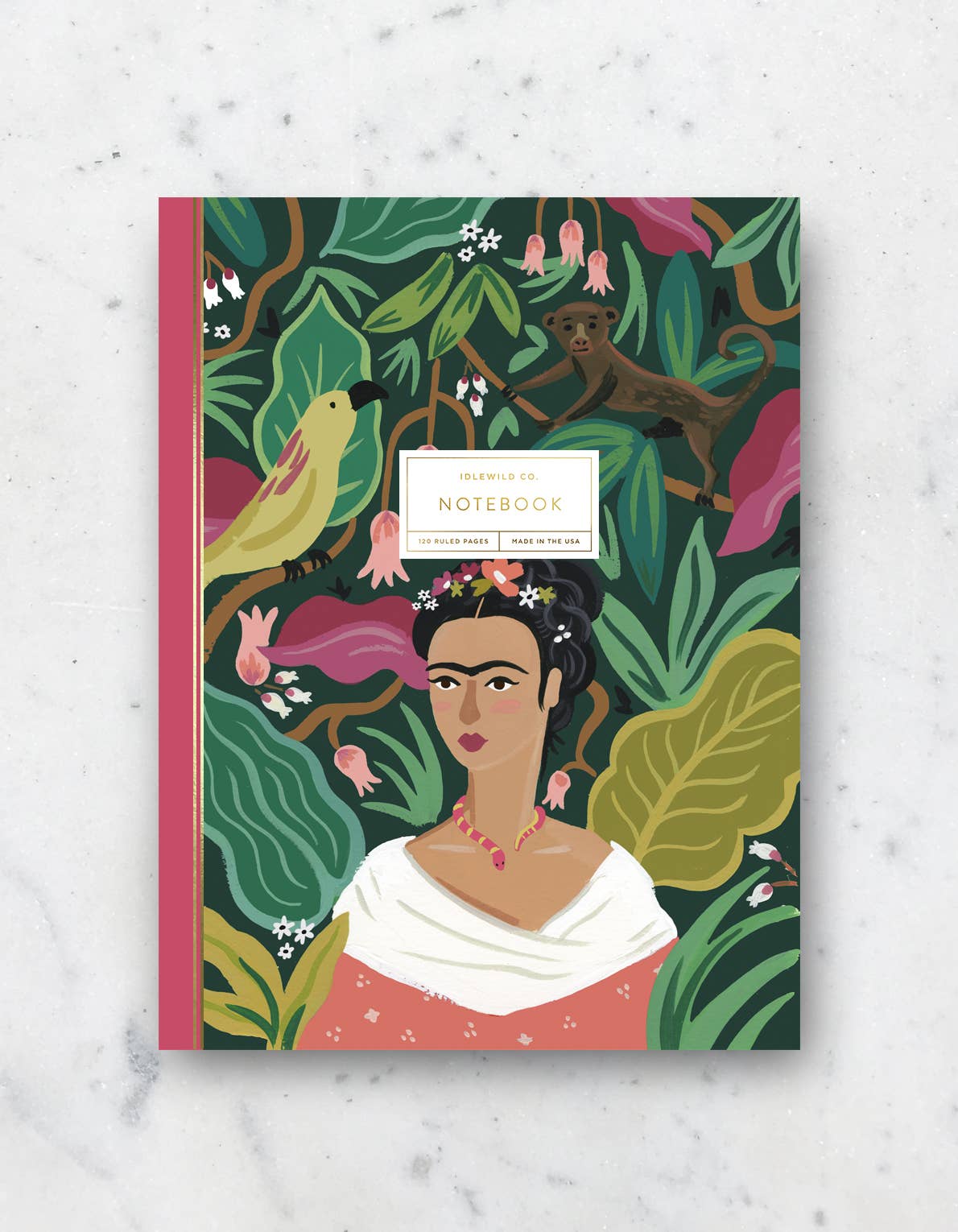 Frida Notebook